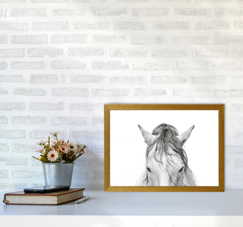Horse II Photography Print by Victoria Frost A3 Print Only