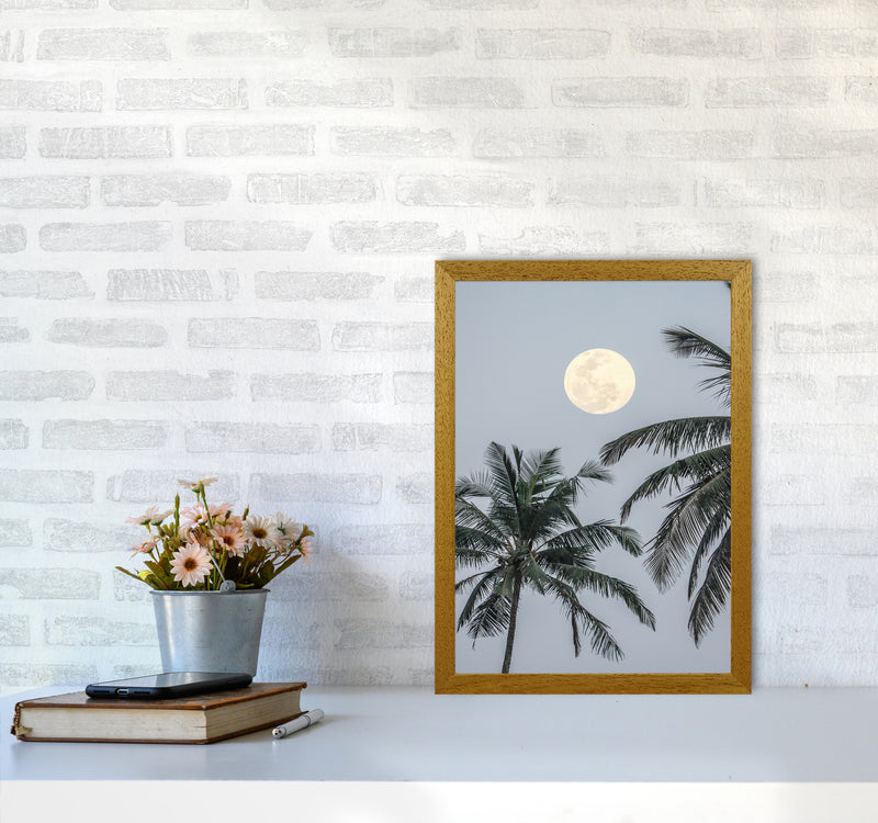 Full Moon Photography Print by Victoria Frost A3 Print Only