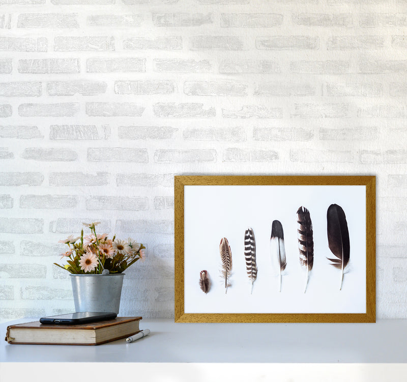 Feathers II Photography Print by Victoria Frost A3 Print Only
