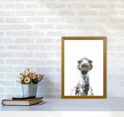 E.M.U Photography Print by Victoria Frost A3 Print Only