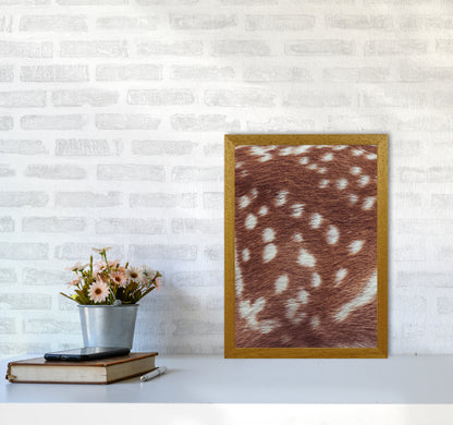 Deer skin Photography Print by Victoria Frost A3 Print Only