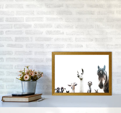Animal Crew Photography Print by Victoria Frost A3 Print Only