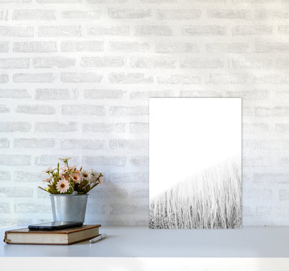 White Horse I Photography Print by Victoria Frost A3 Black Frame