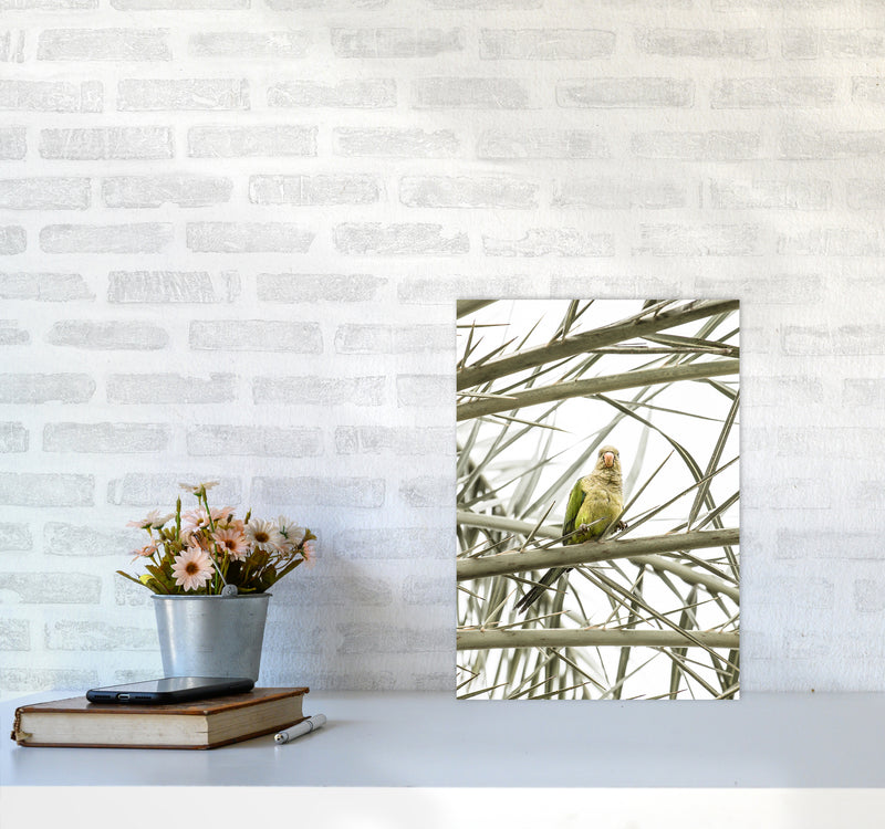 Parrot Photography Print by Victoria Frost A3 Black Frame