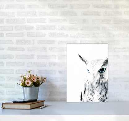 Owl I Photography Print by Victoria Frost A3 Black Frame