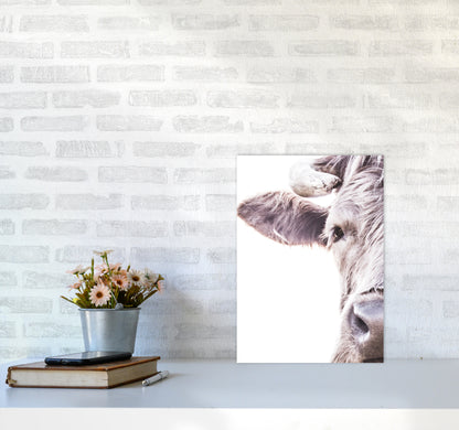 Highlander II Photography Print by Victoria Frost A3 Black Frame