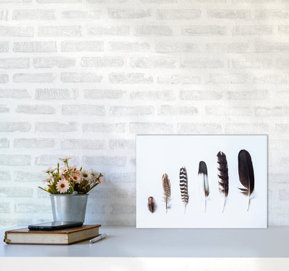 Feathers II Photography Print by Victoria Frost A3 Black Frame