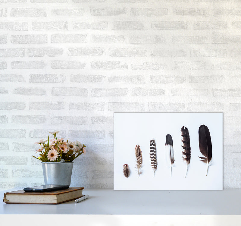 Feathers II Photography Print by Victoria Frost A3 Black Frame