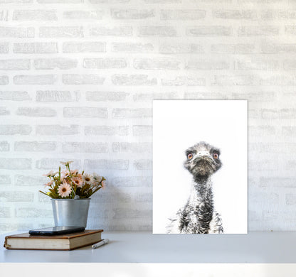 E.M.U Photography Print by Victoria Frost A3 Black Frame