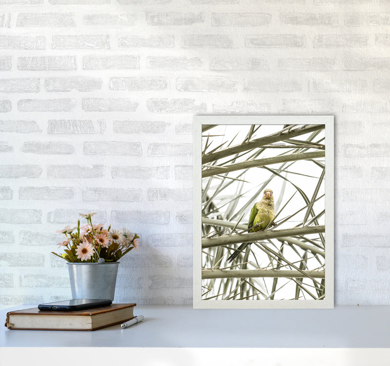 Parrot Photography Print by Victoria Frost A3 Oak Frame