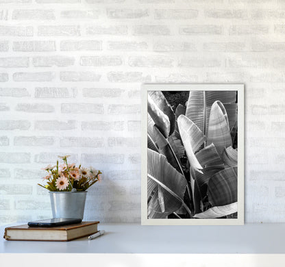 Palms Leafs Photography Print by Victoria Frost A3 Oak Frame