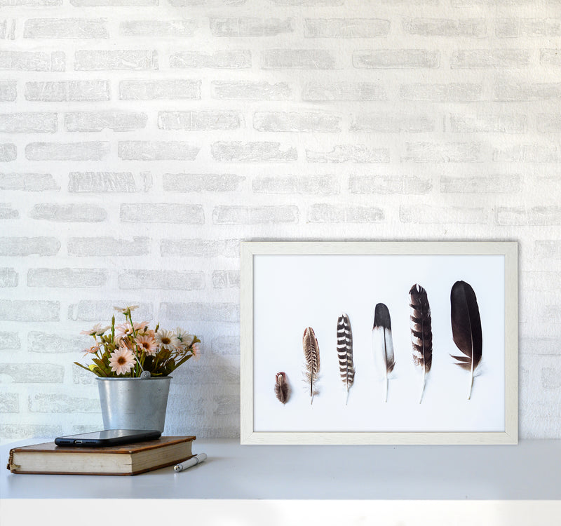 Feathers II Photography Print by Victoria Frost A3 Oak Frame