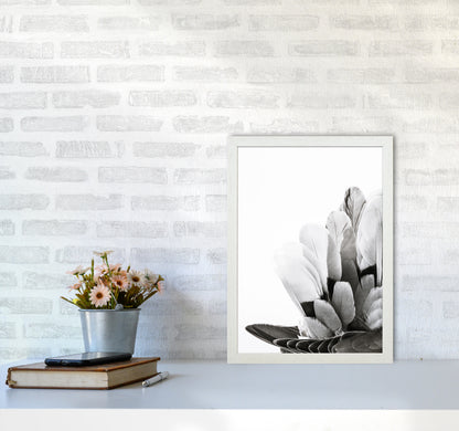 Feathers Photography Print by Victoria Frost A3 Oak Frame