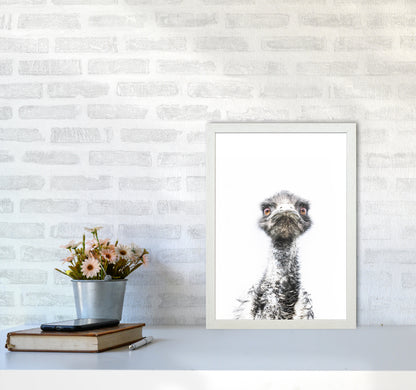 E.M.U Photography Print by Victoria Frost A3 Oak Frame