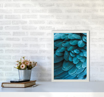 Blue Feathers Photography Print by Victoria Frost A3 Oak Frame