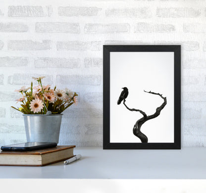 On the look out Photography Print by Victoria Frost A4 White Frame