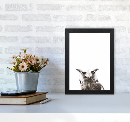 Lil Owl Photography Print by Victoria Frost A4 White Frame