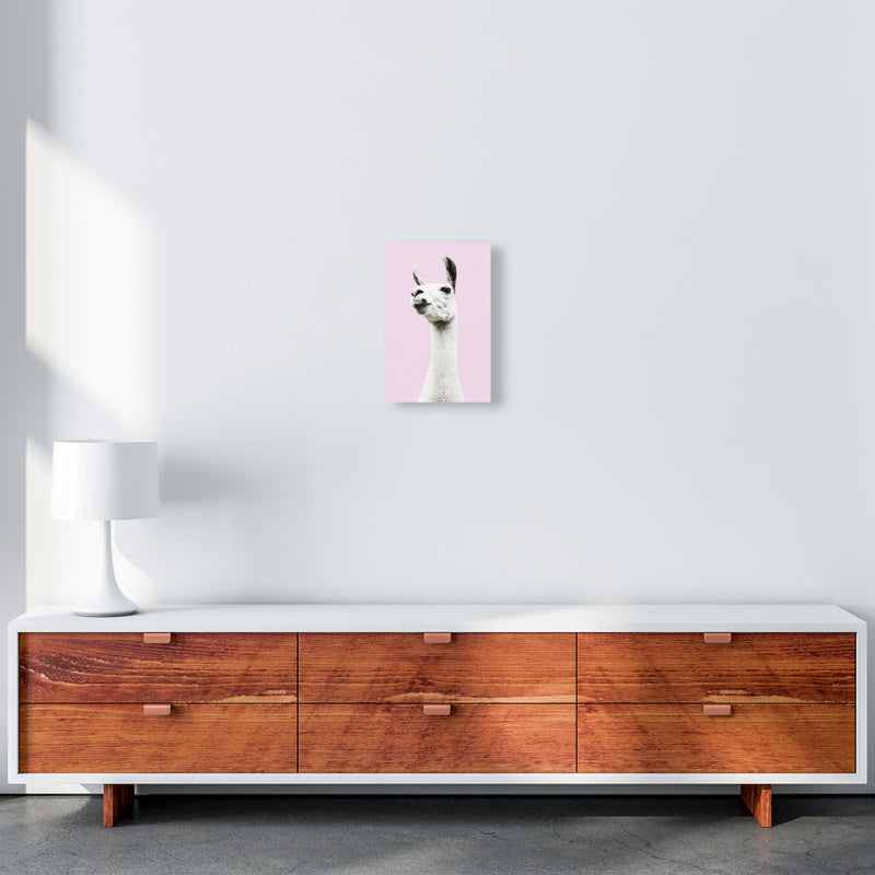 Pink Llama Photography Print by Victoria Frost A4 Canvas