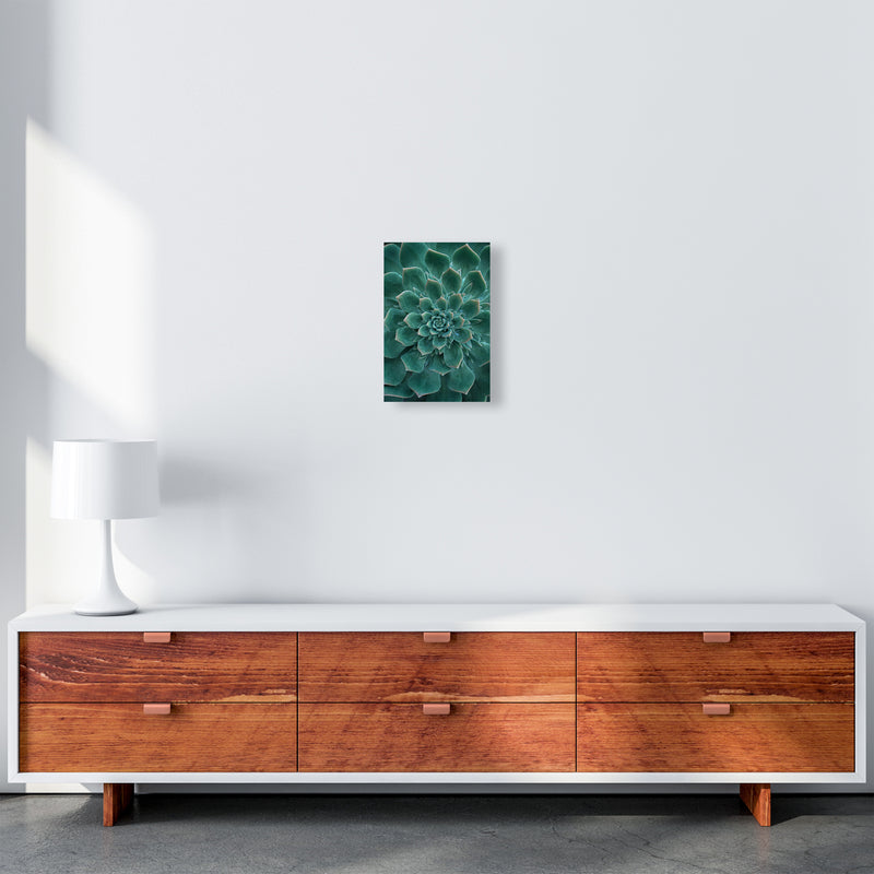 Green Succulent Plant Photography Print by Victoria Frost A4 Canvas