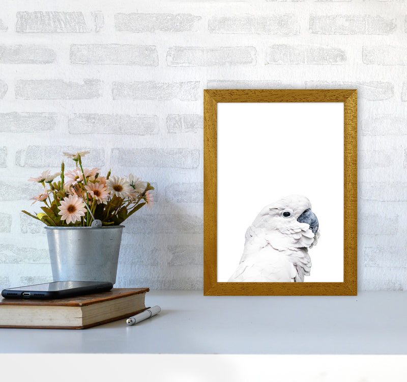 White Cockatoo Photography Print by Victoria Frost A4 Print Only