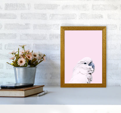 Pink Cockatoo Photography Print by Victoria Frost A4 Print Only