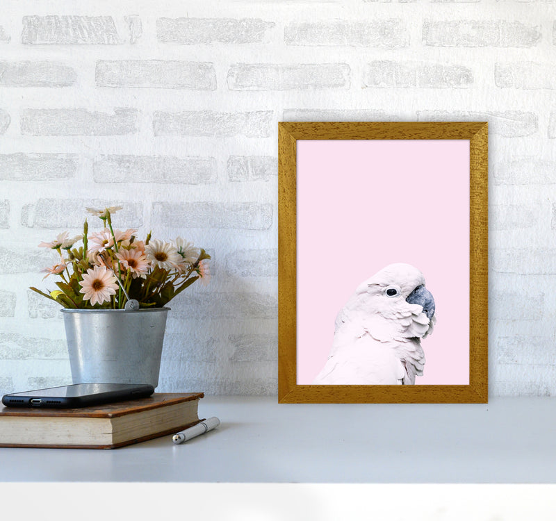 Pink Cockatoo Photography Print by Victoria Frost A4 Print Only