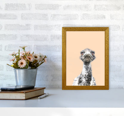 Orange Emu Photography Print by Victoria Frost A4 Print Only