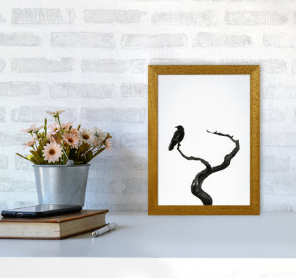 On the look out Photography Print by Victoria Frost A4 Print Only