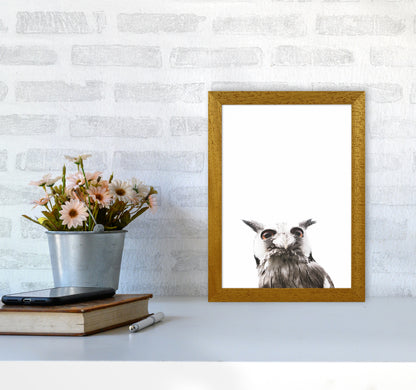 Lil Owl Photography Print by Victoria Frost A4 Print Only