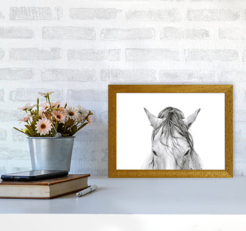 Horse II Photography Print by Victoria Frost A4 Print Only