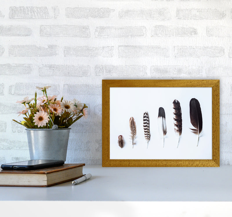 Feathers II Photography Print by Victoria Frost A4 Print Only