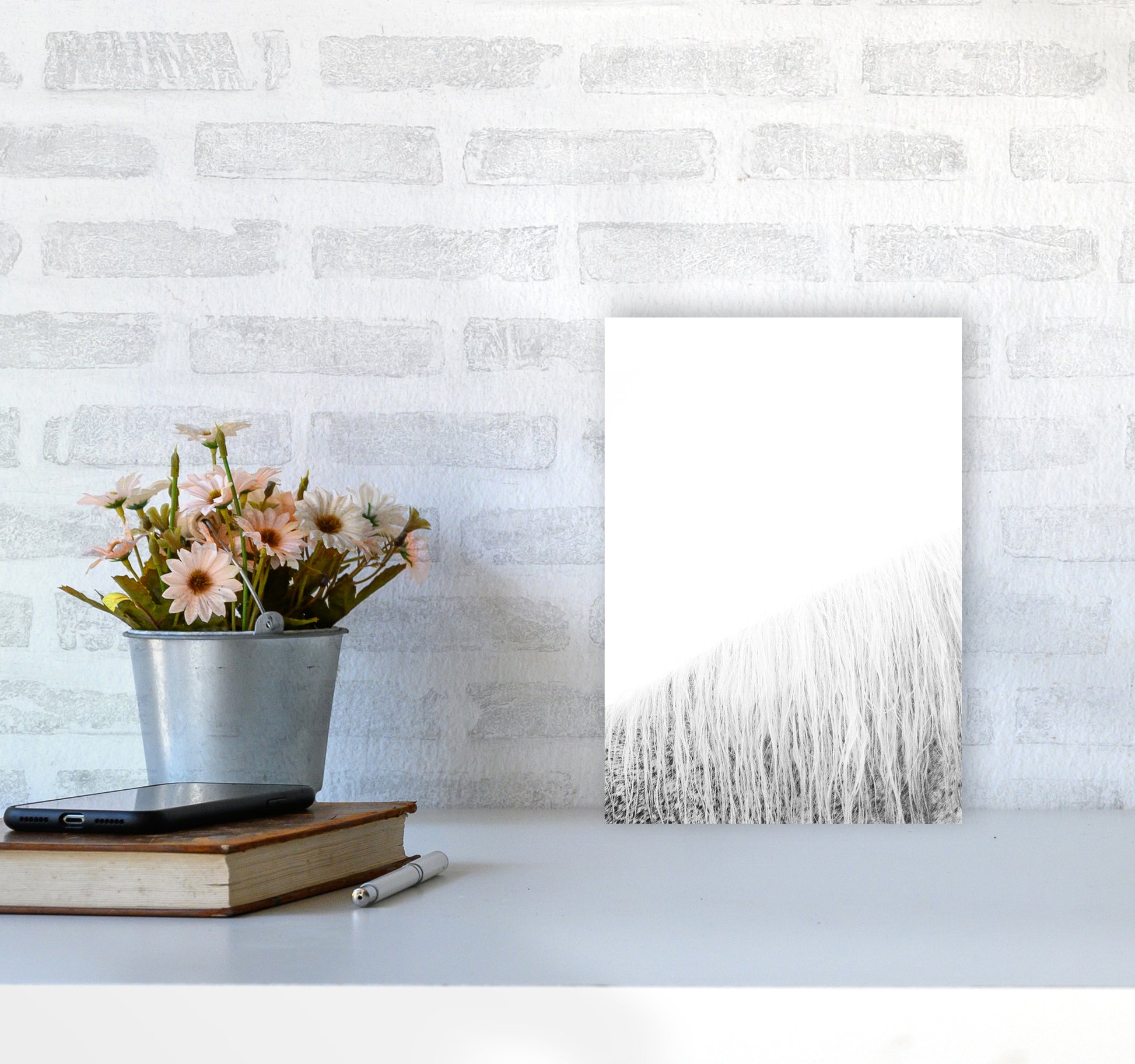 White Horse I Photography Print by Victoria Frost A4 Black Frame
