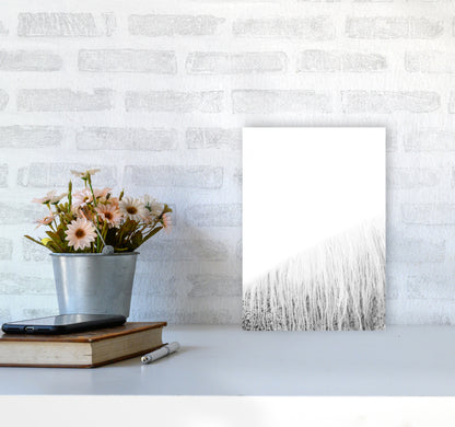 White Horse I Photography Print by Victoria Frost A4 Black Frame