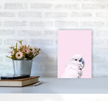 Pink Cockatoo Photography Print by Victoria Frost A4 Black Frame