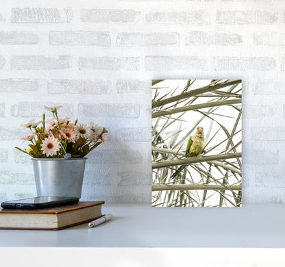 Parrot Photography Print by Victoria Frost A4 Black Frame