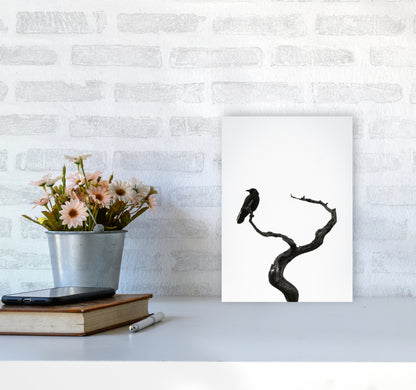 On the look out Photography Print by Victoria Frost A4 Black Frame