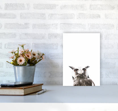 Lil Owl Photography Print by Victoria Frost A4 Black Frame