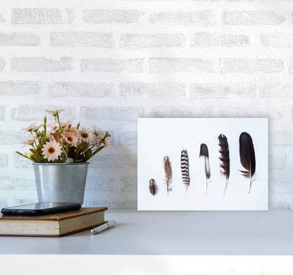 Feathers II Photography Print by Victoria Frost A4 Black Frame
