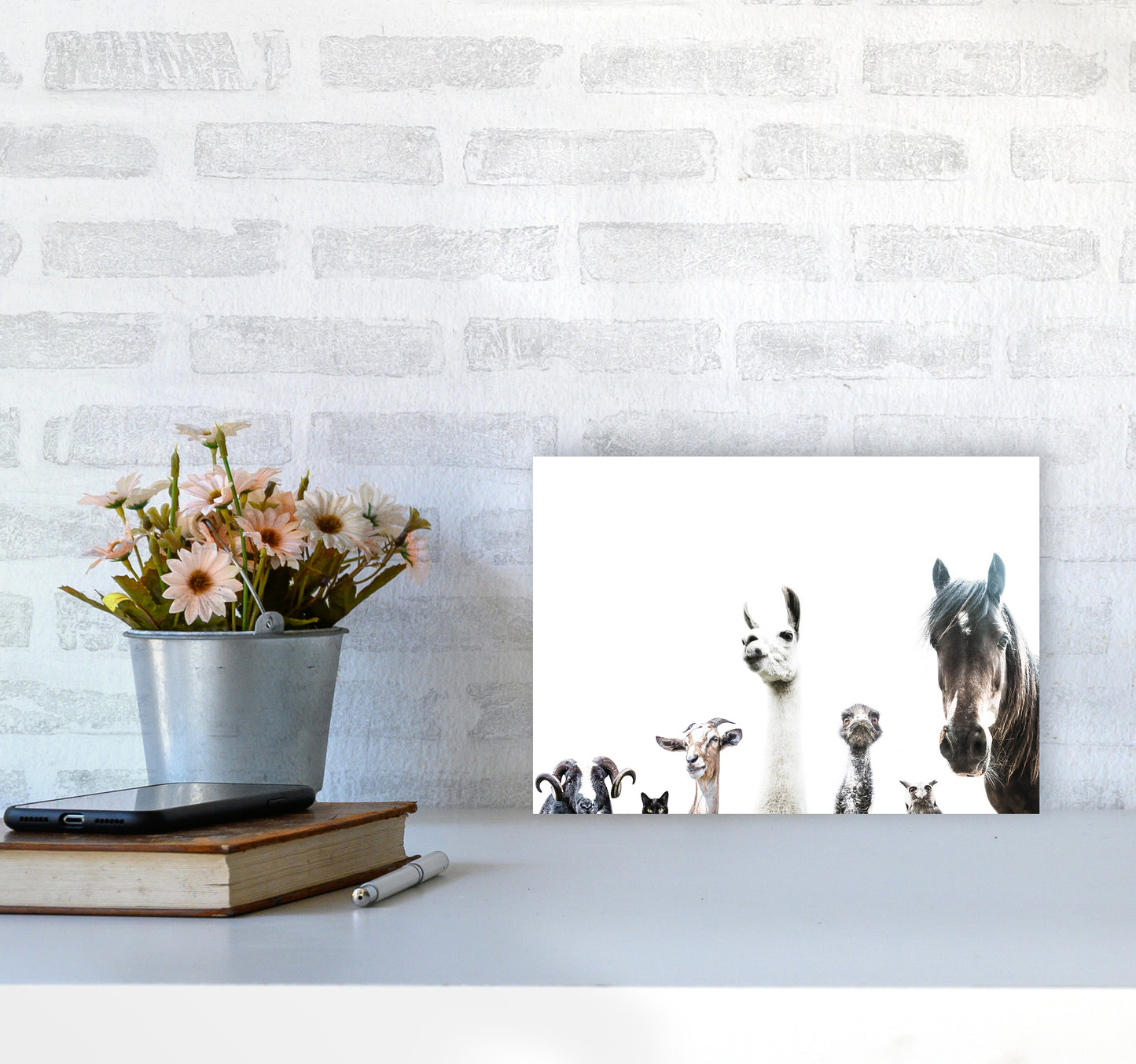 Animal Crew Photography Print by Victoria Frost A4 Black Frame
