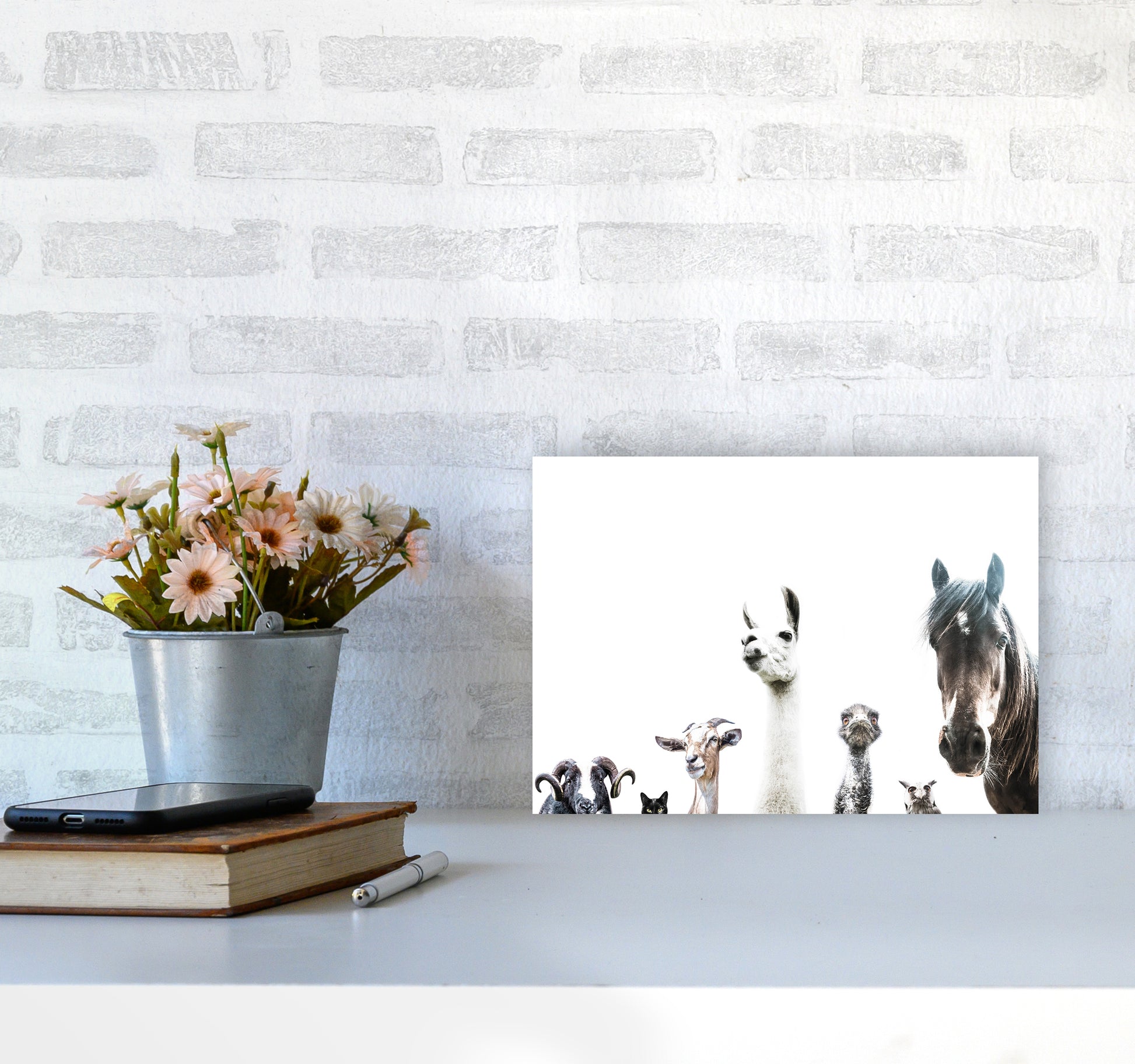 Animal Crew Photography Print by Victoria Frost A4 Black Frame