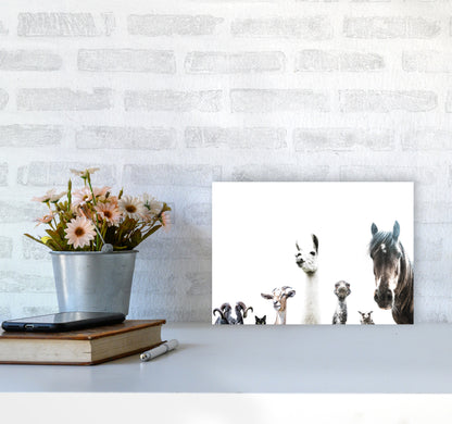 Animal Crew Photography Print by Victoria Frost A4 Black Frame
