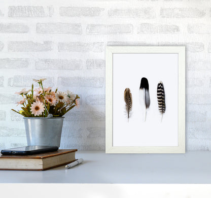 Spirits III Photography Print by Victoria Frost A4 Oak Frame