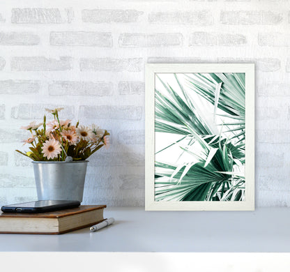 Palm Leaves II Photography Print by Victoria Frost A4 Oak Frame