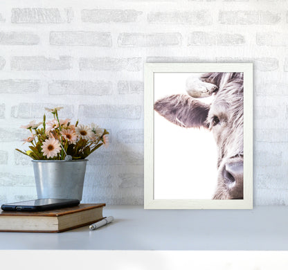 Highlander II Photography Print by Victoria Frost A4 Oak Frame