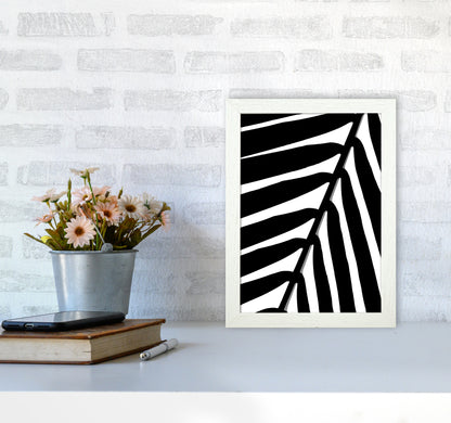 Botanical Shade Photography Print by Victoria Frost A4 Oak Frame