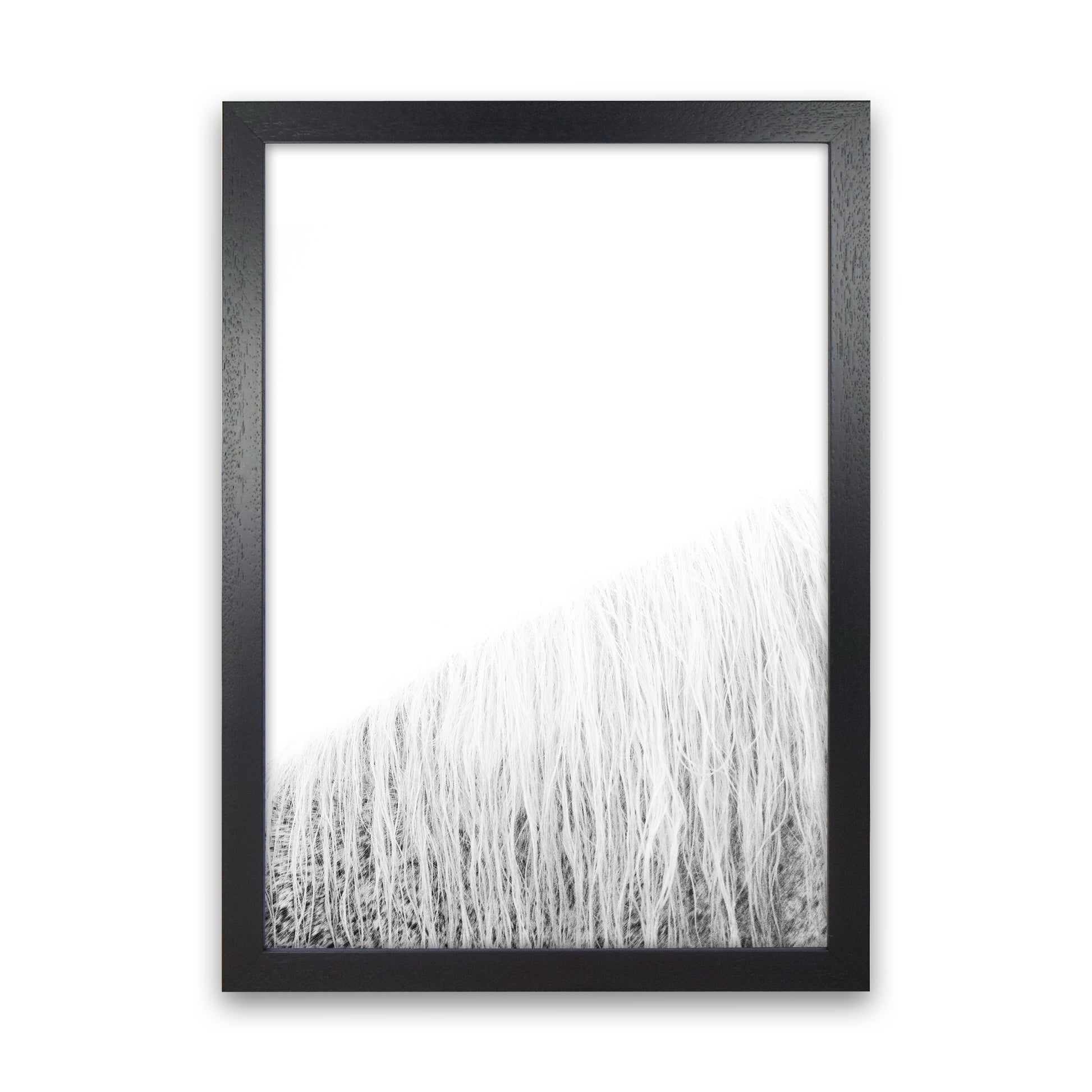 White Horse I Photography Print by Victoria Frost Black Grain