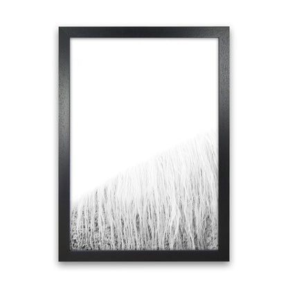 White Horse I Photography Print by Victoria Frost Black Grain