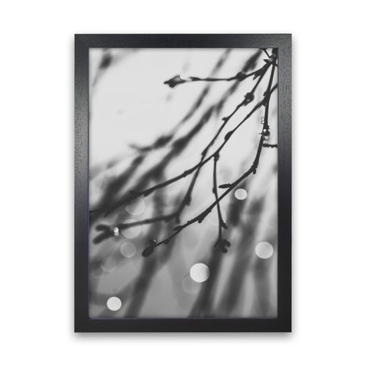 Twilight II Photography Print by Victoria Frost Black Grain