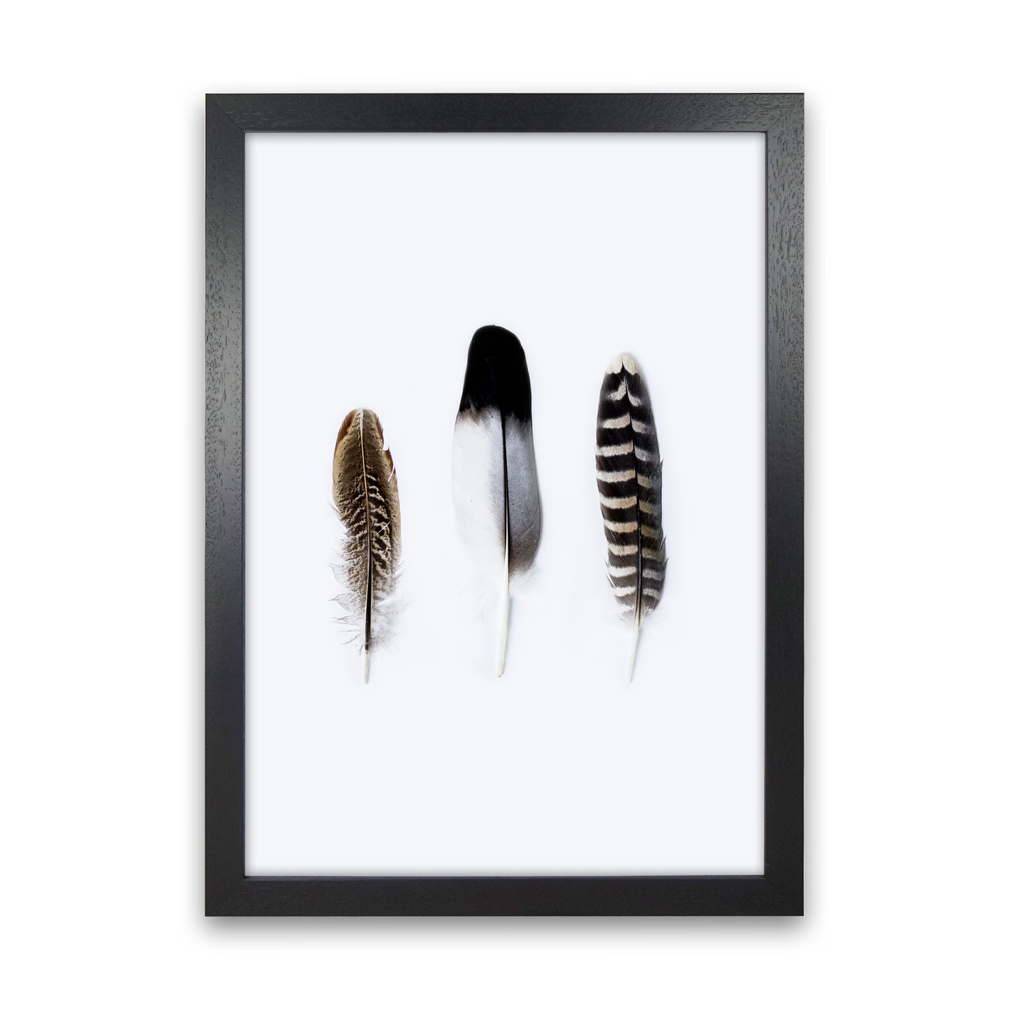 Spirits III Photography Print by Victoria Frost Black Grain