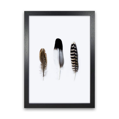 Spirits III Photography Print by Victoria Frost Black Grain